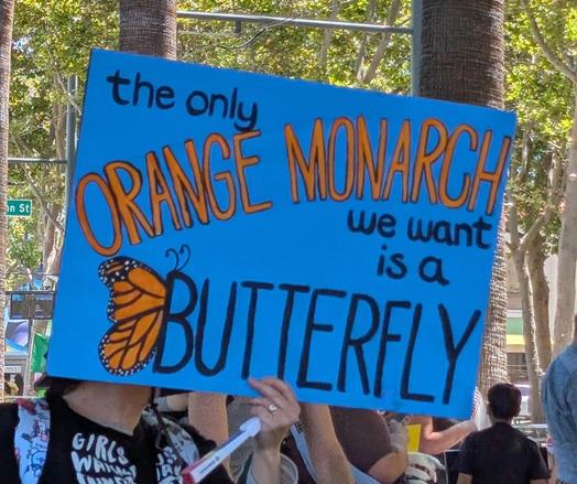 Blue poster that says the only Orange Monarch we want is a Butterfly and the B in Butterfly has an orange Butterfly wing attached to the straight line and two antenna on top