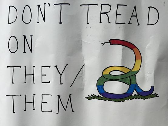Poster with hand printed lettering “Don’t Tread on They/Them” with a rainbow colored snake