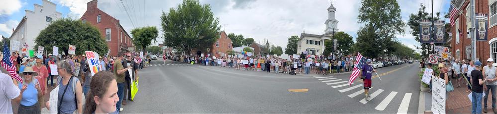 Panorama of crowd lining small town street holding signs
