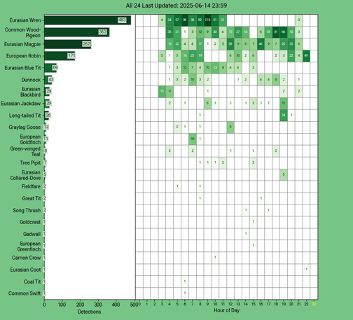 Today's top 20 bird chart