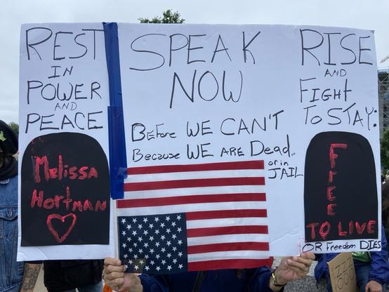 A sign referencing murdered Minnesota legislator Melissa Hortman. 

REST IN POWER AND PEACE MeliSSA HortMaN SPEAK NOW BEfore WE CAN'T Because WE ARE Dead or in JAIL

 RISE AND FIGHt TOSTAY: TO LIVE OR Freedom DIES