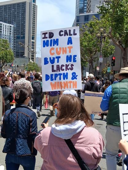 Woman carrying a sign that says "I'd call him a cunt but he lacks depth and warmth"