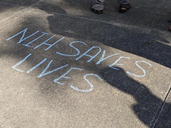 The image shows a close-up of a concrete surface with the words "NIH SAVES LIVES" written in blue chalk. The letters are large and clearly legible, with the word "NIH" positioned above "SAVES LIVES." The chalk writing is slightly uneven, indicating it was done by hand. The concrete surface has a rough texture, and there are shadows cast on it, suggesting the presence of people nearby. The shadows are visible in the upper part of the image, with the feet of individuals wearing sandals and pants partially visible. The sunlight creates a contrast between the light and dark areas on the ground, highlighting the chalk writing.