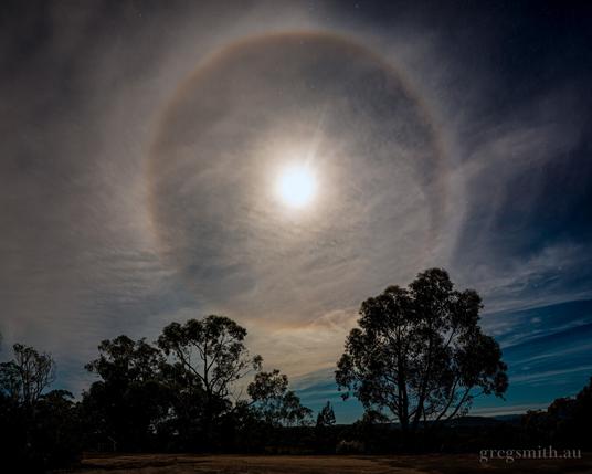 A thin layer of clouds in front of an almost-full moon with a lunar halo, with the silhouette of eucalyptus trees in the foreground.