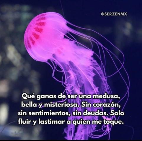 Texto: Qué ganas de ser una medusa, bella y misteriosa. sin corazón, sin sentimientos, sin deudas. Solo fluir y lastimar a quien me toque.
Fotografía de una medusa flotando en agua
créditos:  serzenmx