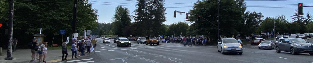pano trying to cover the north end of the crowd in lake forest park