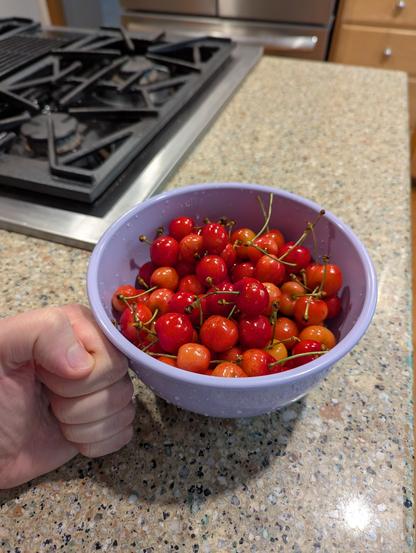 A bowl full of bright Washington cherries! The bowl is a roughly 9-10 inch semisphere.