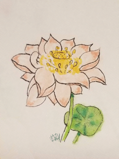 Ink drawing of a pink water lily with a lily pad.