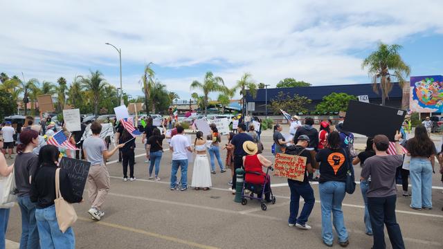 Groups of No Kings protesters lining the street