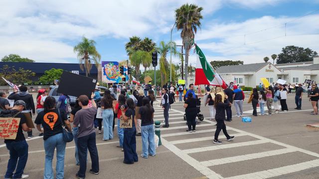 Groups of No Kings protesters lining the street