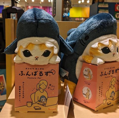 Photo of a posture support plushie: it's an orange kitty wearing a blahaj costume!