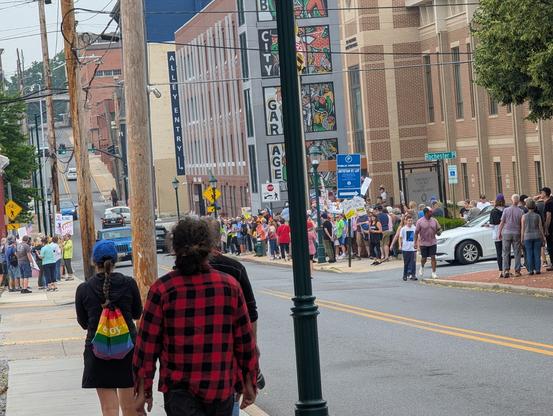Group of No Kings protestors in front of the District Court in Hagerstown.