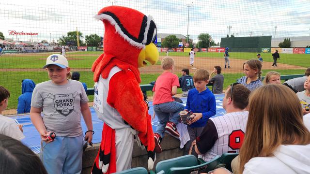 The image depicts a lively scene at a baseball game. In the foreground, a large, red bird mascot with a yellow beak and black and white markings is standing near a group of children. The mascot is wearing a white jersey with the word "Baltimore" on it. A young boy in a gray shirt with "Grand Forks" written on it is holding a drink and looking at the mascot. The children are gathered around a barrier, with some sitting on the edge, and appear to be interacting with the mascot. In the background, the baseball field is visible, with players in action and a crowd of spectators. The sky is partly cloudy, and there are advertisements visible on the outfield wall, including a Budweiser sign. The atmosphere is festive, with the mascot engaging with the young fans.