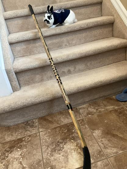 Small white and black bunny sits on the stairs next to a hockey stick signed by Elsa Tikkanen from the old Gretzky days