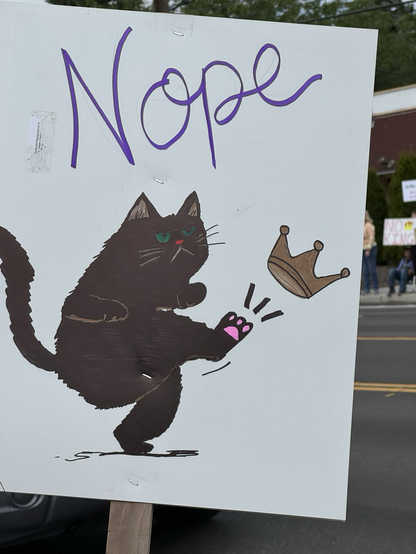 A cartoon black cat kicking a crown saying “Nope”