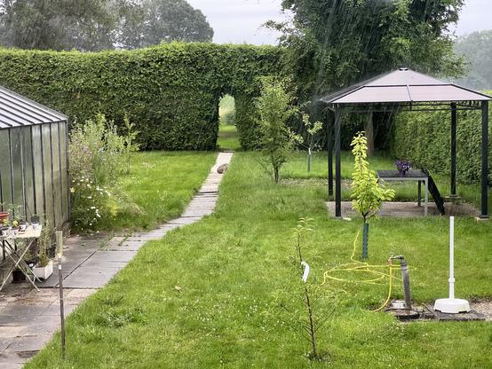 Ein Garten während eines Regenschauers, mit einem Steinweg, der durch den Rasen zu einem Heckenbogen führt. Auf der rechten Seite befindet sich ein Pavillon mit einem Tisch und lila Blumen, während links ein Gewächshaus steht. Junge Bäume und Gartengeräte sind auf der Wiese verstreut. Auf dem Weg sitzt ein Hase mit eingezogenem Kopf und angelegten Ohren, der den Anschein erweckt den einsetzenden Regen so gar nicht zu mögen.