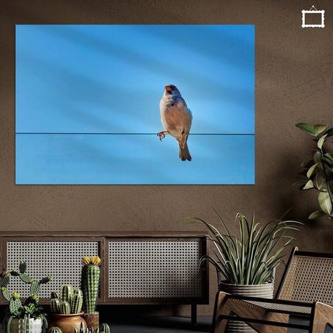 Goeiemorgen zeg!

De zomer is weer helemaal terug. Het is vanmorgen in het oosten nog wat bewolkt met een kansje op een buitje, maar daarna is het gewoon overal zonnig en droog. Er gebeurt verder niks opvallends en bijzonder, en het wordt 20 graden aan zee tot lokaal 25 graden in het zuidoosten. Komende week blijft het ook best zonnig en droog met ongeveer 22 tot 24 graden, maar vrijdag tettert de zomer weer door met 25 tot 30 graden. #weer #zomer #lente

Het is even afwachten wat er gaat gebeuren. Het ECMWF komt nu met een heuse mogelijke hittegolf, te beginnen vanaf ongeveer woensdag (maar dat geldt pas na minimaal vijf dagen en als aan de voorwaarden voor een hittegolf is voldaan), en het GEM komt er nu ook mee aanzetten. Zou het dan toch?..... Ik hoop het niet. Dit is een horecamus die op de glasplaten rondom een terras lekker zit te kijken of er iets te halen valt. #fotografie #werkaandemuur

Fijne dag vandaag!