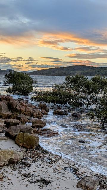 A foreground of small mangrove trees at the edge of a rocky foreshore. The sun is close to setting across choppy waters with low forested hills in the distance.
