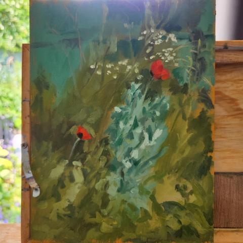A couple of red poppies against a green background