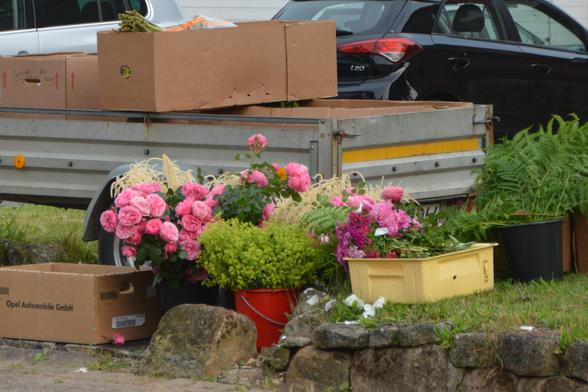 Blumenteppich legen - am Rande der Arbeiten