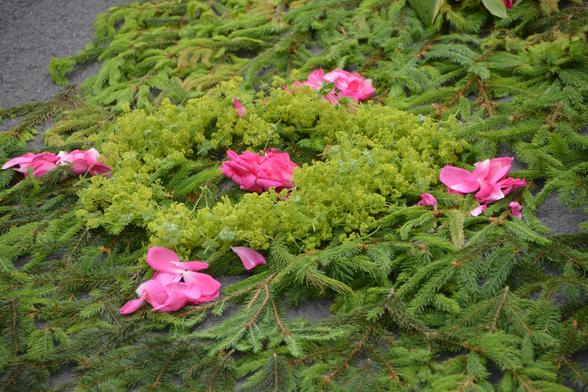 Motiv aus dem Blumenteppich