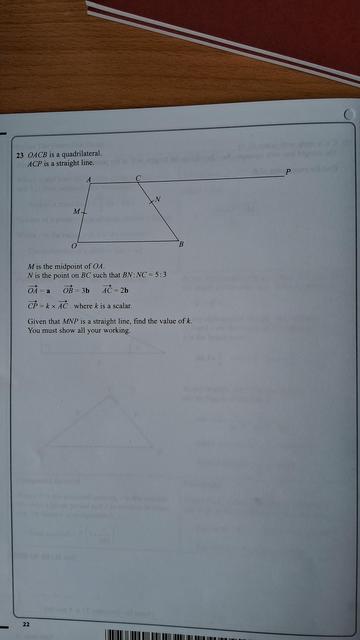 Complicated maths problem involving vectors and a trapezium. Apologies, I'm on the go and can't at the moment describe it in details. I will if anyone asks!