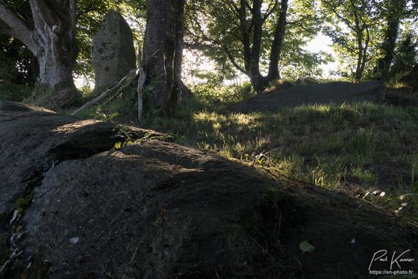 Photo en couleur présentant, à l'ombre d'un petit bosquet, 3 menhirs, dont un seul est encore "debout". Au tout premier plan, on peut voir un mégalithe couché alors qu'au second plan, de gauche à droite, on observe un menhir dressé entre deux troncs de chêne puis un troisième menhir, également couché devant des arbres, plus éloignés du photographe. La photo a été prise en soirée alors que le soleil s'approche de l'horizon à l'arrière plan.