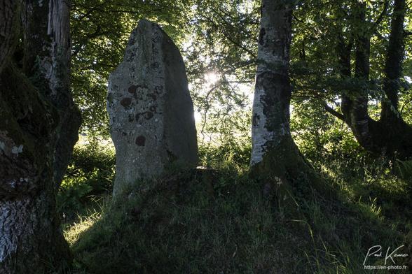 Photo en couleur présentant, à l'ombre d'un petit bosquet, un menhir dressé entre deux troncs d'arbres. La photo a été prise en soirée alors que le soleil s'approche de l'horizon à l'arrière plan.