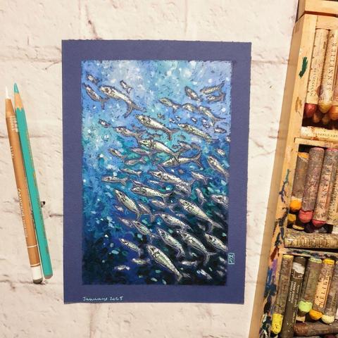 An original oil pastel painting of a group of sardines swimming in the ocean. The fish are silvery white with a ocean background in a mix of blues and greens.
This is an original art work
Fine art oil pastel on toned pastel paper
Size A5 (21cm x 14.5cm)
Sold unframed