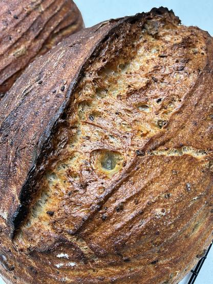 Golden brown sourdough showing gluten strands and seeds.