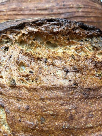 Golden brown sourdough showing gluten strands and seeds.