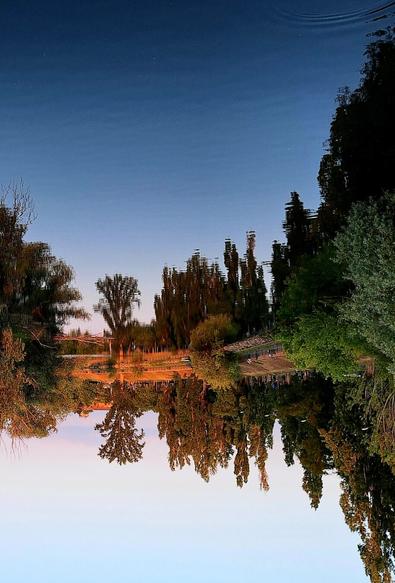 An inverted shot, likely a reflection in a body of water, showing a tranquil scene at dusk. The upper half which is the reflection of the sky, displays a deep blue fading into a lighter hue at the very top. The lower half, which is the reflection of the land and trees, shows a warm, soft orange and pink sky near the bottom, transitioning upwards into the darker tones of the trees and surrounding vegetation.

Numerous trees with varying shades of green and brown foliage are prominent, their forms somewhat distorted by the water's surface, creating a painterly effect.