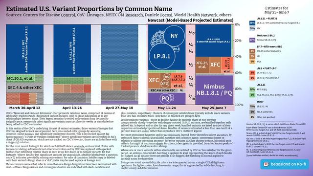 Chart: Est. U.S. Variant Proportions by Common Name
Sources: CDC, Cov-Lineages, NYITCOM, others

[ beadsland on Ko-fi ]

Reskin of CDC's Variants Nowcast, and any significant variants in GISAID not broken out by CDC.

Five bar-style tree-charts, for fortnights through 5/25–6/7. Legend of last fortnight, organized by subheadings of color-grouped families and convergent clusters. Percentages overlay each color key, reflecting share as of most recent tree-chart.

WHO-Vaccine-Target JN.1 accounts for over three fifths. JN.1.11 for over two fifths.

For 5/11–5/24, packed bubble charts fill single-variant tiles, reflecting GISAID detail not shown by CDC's Nowcast.

Legend:

JN.1.11 + FLiRT31 [blues]:
38% - LP.8.1.1 / NY† & other FDA-Vaccine-Target LP.8.1
⅛% - XEK

Omicron-2 BA.2 [purple]:
37% - Nimbus NB.1.8.1 / PQ

LF.7 + NTD-meets-RBD [browns]:
8% - XFG.2† & other Stratus XFG
7% - XFC
0% - XFJ†

JN.1 + FLiRT-LF-7 [reds]:
5% - LF.7.9 & LF.7.7.2
1% - LF.7.7.1 / PV & other LF.7

JN.1.11 [greens]:
⅜% - KP.3 & XEQ
1% - PA.1, MC.10.1, MC.1 & other KP.3.1.1 / MC

Other [greys]:
½% - LB.1.3.1 / NL
2% - XEC.4 & other XEC
0% - Other (not specified)
_____

Nimbus NB.1.8.1 / PQ is a scion of left-field Razor-Blade-Throat XDV.

Razor-Blade-Throat XDV was a child of Winter 2024's WHO-Vaccine-Target JN.1 and left-field recombinant XDE.

XDE was a child of left-field Hyperion grandkid FL.13.4 and left-field Hippogryph scion GW.5.1.

[Some footnotes omitted, due to too many recombinants.]