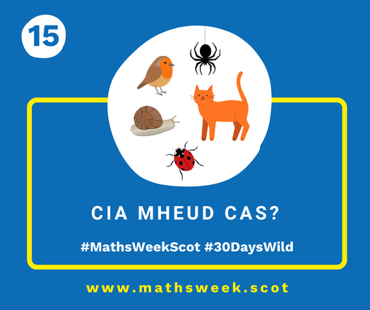 A colourful graphic with a blue background and a yellow frame. Overlapping the top of the frame is a white circle with a picture of a bird, a spider, a snail, a cat and a ladybird. Inside the yellow frame are the Gaelic words "Cia mheud cas?" and the hashtags #MathsWeekScot and #30DaysWild. Under the frame is the Maths Week website URL.