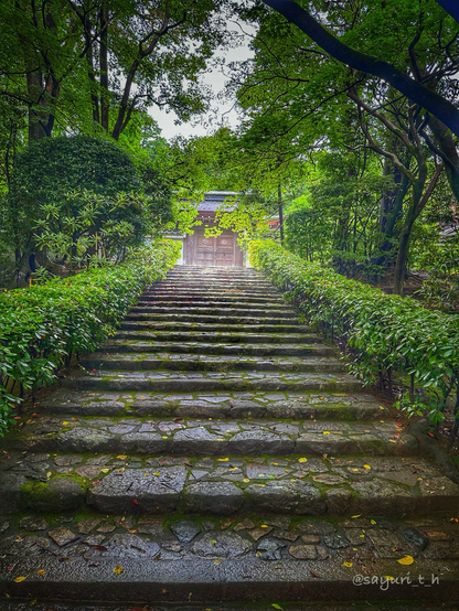 Looking up the stone stairs at old temple. Both sides are covered with bright green leaves and trees. There’s an entrance of the temple at the end of the stairs
