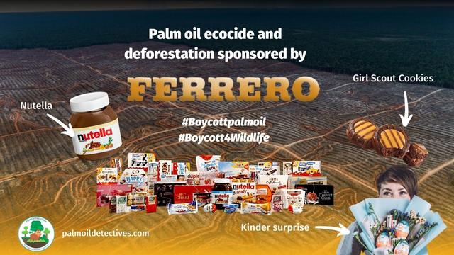 DYK #palmoil is in 60% of all supermarket goods? It's causing massive #ecocide in #rainforests. Fight back and boycott the greed and #greenwashing of #Mondelez #Unilever #Nestle Learn how to #BoycottPalmOil #Boycott4Wildlife 🧐🔥🌴🤮 @palmoildetect.bsky.social https://wp.me/pcFhgU-EV?utm_source=mastodon&utm_medium=Palm+Oil+Detectives&utm_campaign=publer