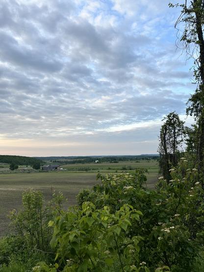 The sky is cloudy but not solid gray. There are blue patches in between the clouds. Shrubbery, green and flowering are in the foreground in the mid ground are farms pastures. In the distance, you can see green hill and a tiny jut of an escarpment in the distance.