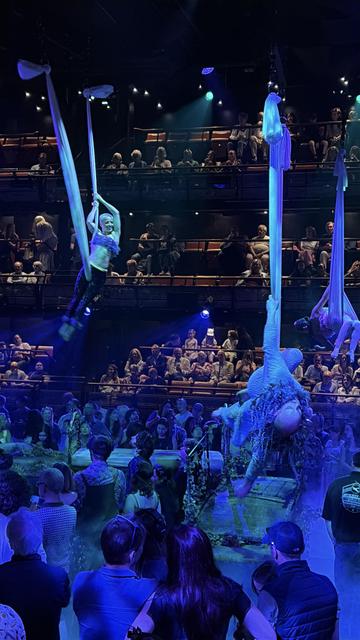 View of the aerial performers during the interval of Midsummer Nights Dream. Three performers hang on silks suspended from the ceiling in various impressive poses. The audience is gathered below them.