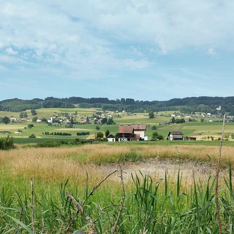 Eine Wiese, auf der ausgetrocknete Tümpel liegen und dahinter ein kleines Haus mit Scheune. Am Horizont erheben sich sanfte bewaldete Hügel, an denen sich kleine Weiler schmiegen. Darüber spannt sich ein blauer Himmel mit zarten Wolken.