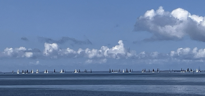 Premier plan mer bleue sombre Horizon voiles blanches ou noires à la queue leu-leu sous ligne de petits nuages moutons Ciel bleu