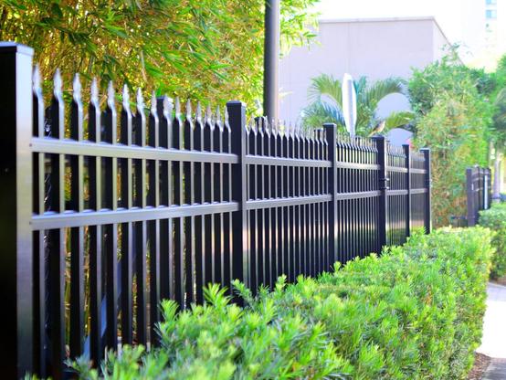 Image shows a tall, sturdy wrought iron fence with decorative spikes on top.