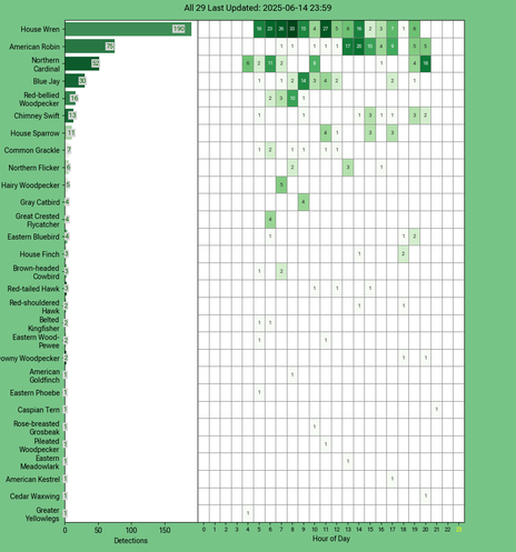 Chart generated by BirdNET-Pi with rows of all detected birds for Saturday, June 14, 2025 in decending order.  The first large column displays a bar chart of relative frequency; the 24 reamaining columns create cells with the bird count for each hour of the day shaded by relative count.