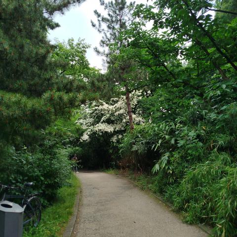 Foto des Wegs.