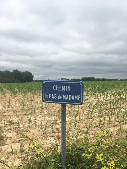 Un panneau bleu marine indiquant une voie nommée « Chemin du Pas de Madame ».