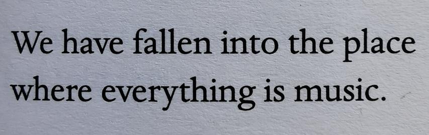 A line from a poem by Rumi.
"we have fallen into the place 
where everything is music."