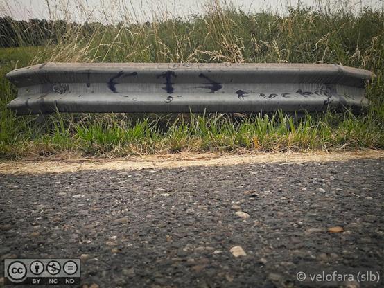 Eine Leitplanke mit Graffiti. Im Vordergrund ein Stück der Strasse, hinter der Leitplanke sind hohe Gräser und etwas Wald.