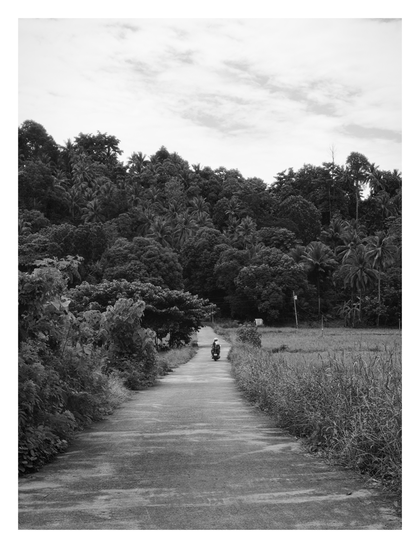 In the foreground, a narrow, paved country road starts at the bottom of the frame and leads the viewer's eye into the distance. The road is flanked by different types of vegetation: on the left, there are lush bushes and trees, while on the right, a border of dry grass separates the road from a field.

A driver and passenger on a scooter are seen in the middle of the road, driving away from the camera and towards a dense forest in the background. The forest covers a large hill and is thick with a variety of trees, including many prominent palm trees, indicating a tropical climate.

Above the green treeline, a beautiful sky is dotted with scattered, fluffy clouds. - Google Gemini Pro 2.5