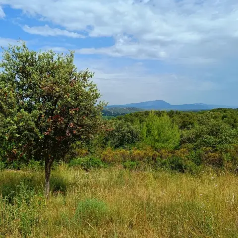 Autour du massif forestier de Baillarguet