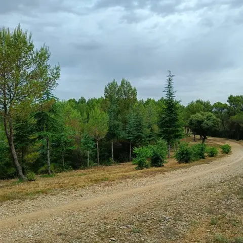Autour du massif forestier de Baillarguet