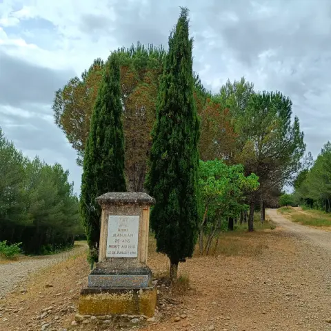 Autour du massif forestier de Baillarguet